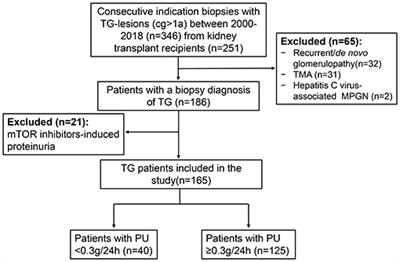 Clinicopathologic Features and Risk Factors of Proteinuria in Transplant Glomerulopathy